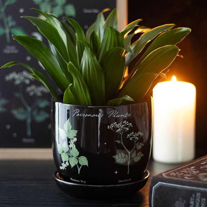 "Poisonous Plants" Plant Pot
