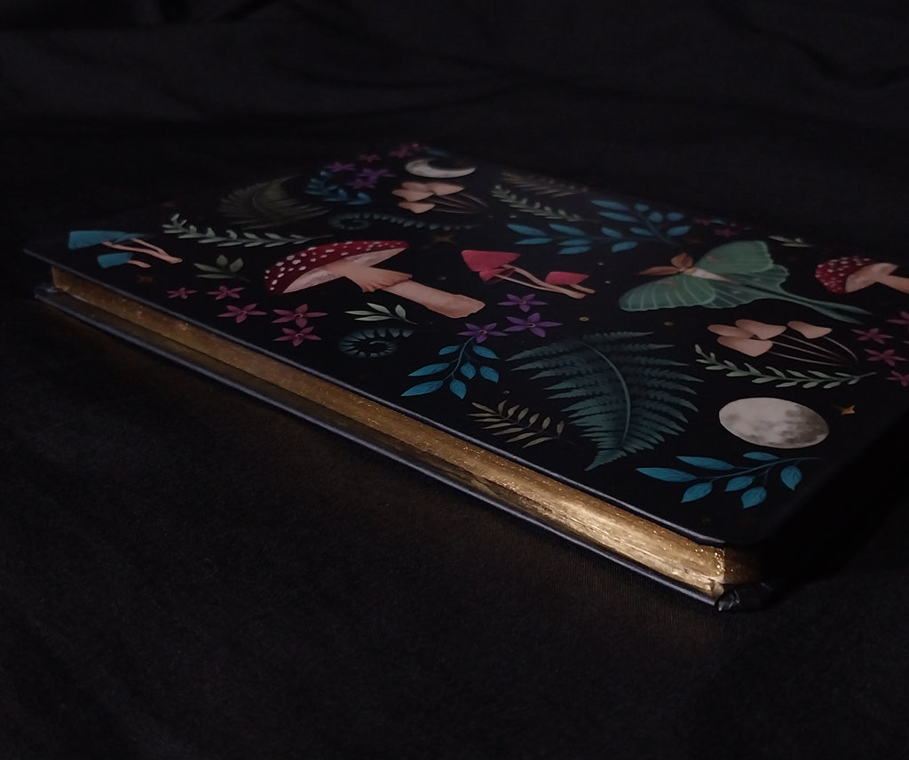 Dark Forest Notebook