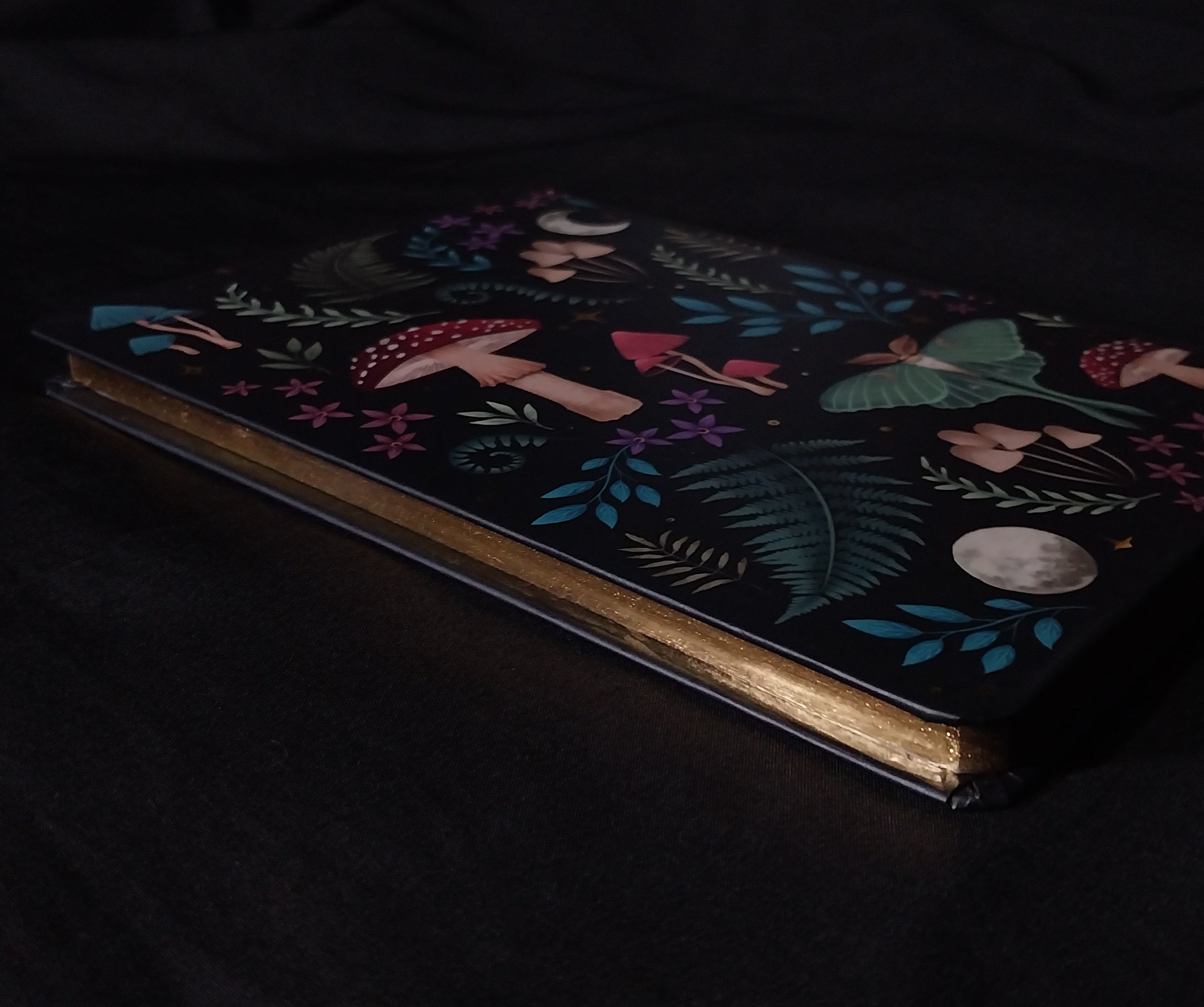 Dark Forest Notebook