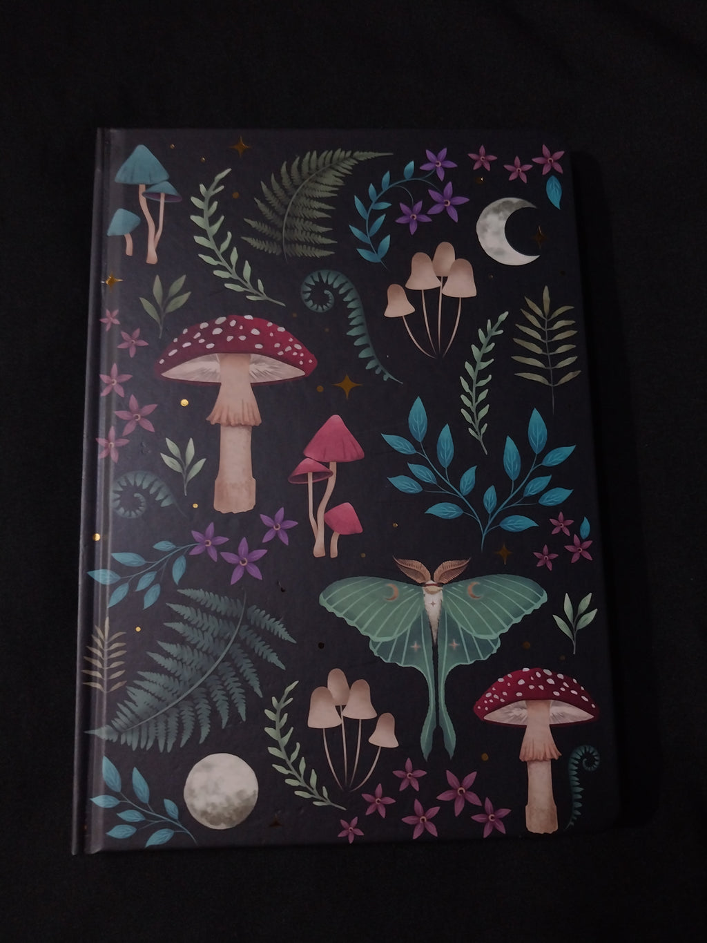 Dark Forest Notebook