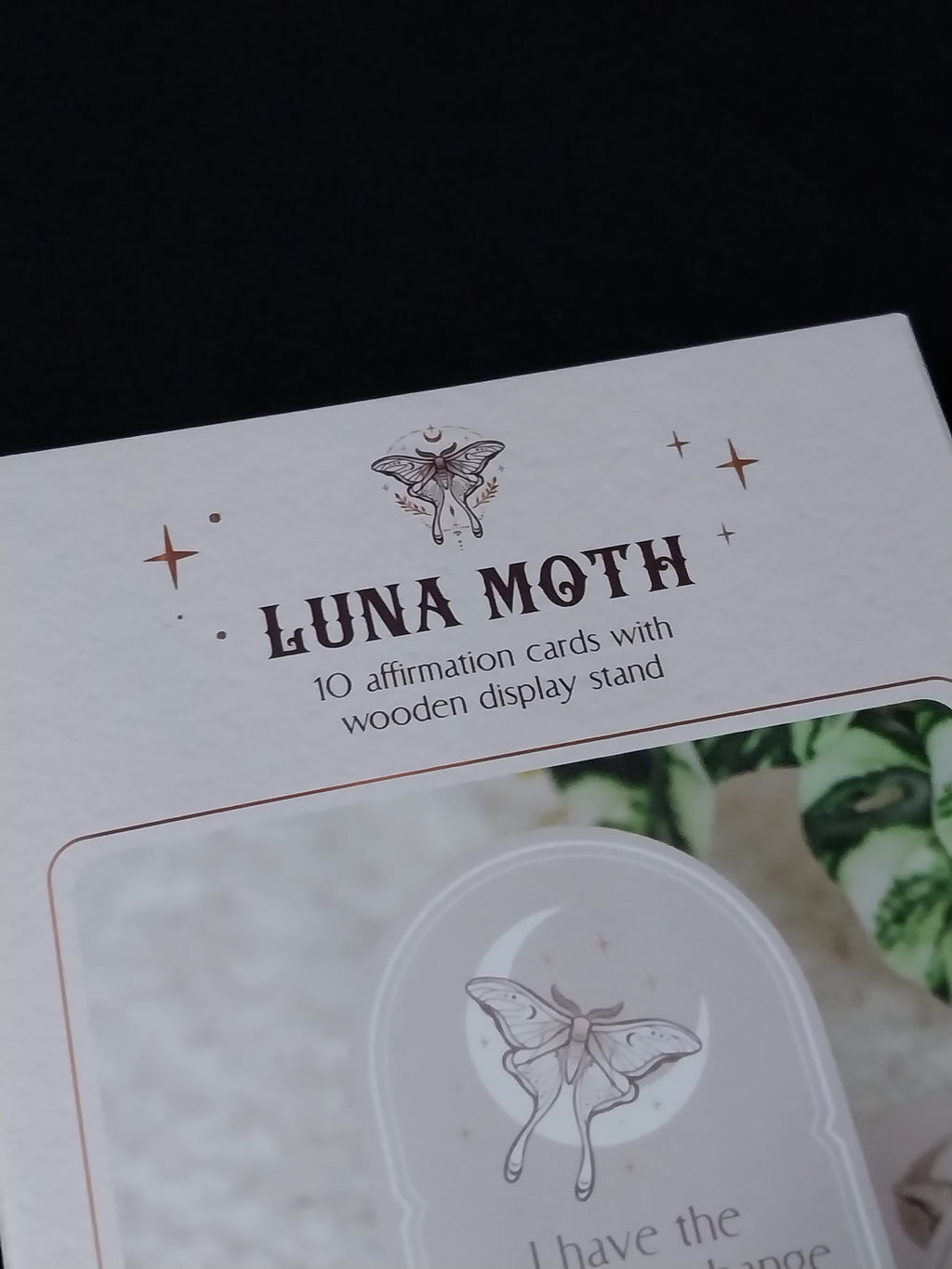 Luna Moth Affirmation Cards with Wooden Stand
